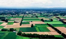 记忆・思维・畅想_2000字