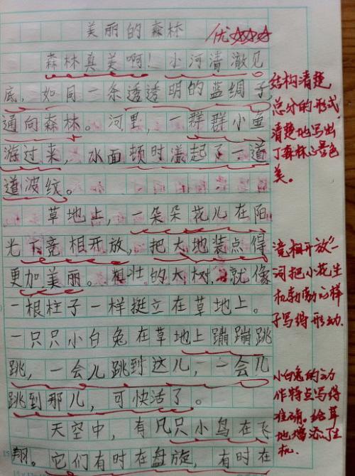 当下的组成：令人难忘的时刻_450字