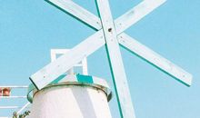 初初见你，花丛中独自美丽_800字