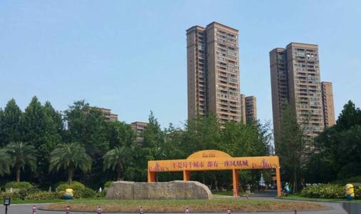 鸥和凤凰播放_400字
