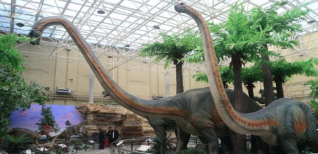 时间就像花了我的心，我闭上了眼睛。害怕见证时间。没有心脏疼痛，但有一个温暖的“黑暗香水”。让爱在炎热的回忆中消失了。