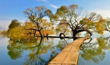 是否有这样一个地方