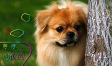 有一种爱，叫做等待