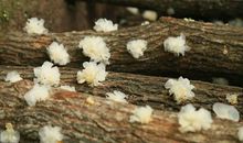 时间太快，剩下的只剩斑白