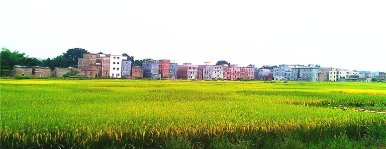 我们成了孩子