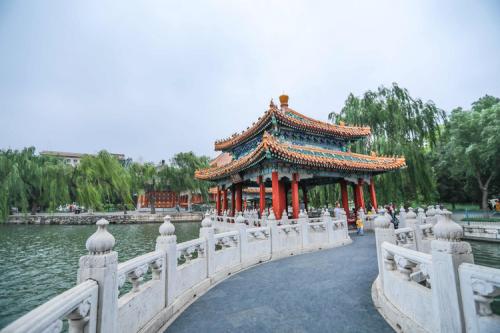 记忆夏天_200字