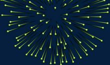 “美丽”的烟花_450字