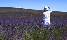 温馨自己，予人芬芳