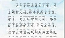 关于儿童节的作文：与同学发生的有趣的事_300字