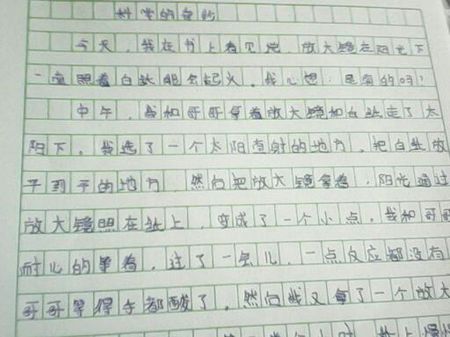 小学爱_300字