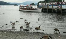 七月，如若初见。