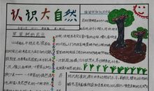 关于大自然的作文：远近结合，感受自然_800字
