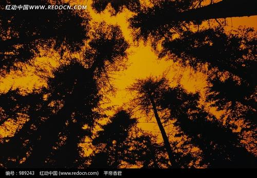 风之间没有关系。