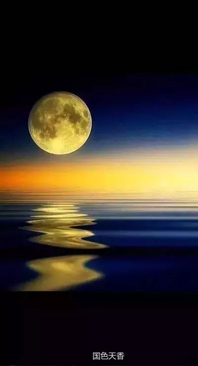 夜间沉默