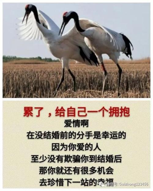 伤了_100字后