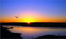 等待落霞的孤鹜