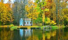 关于景色的作文：绿色公园风景美_900字