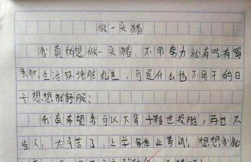风景上的构图：那些景观你正在俯视_650字