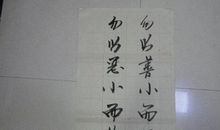 定格习惯_650字