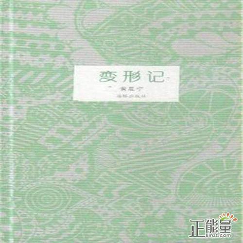 第二次感觉：变形仪表_1000字