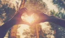 致我最爱的人_800字