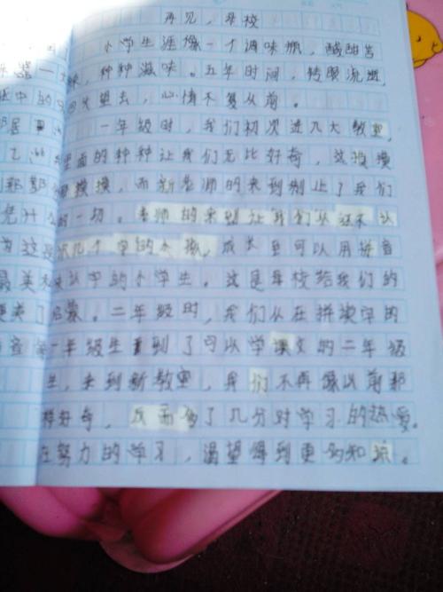 阅读“诚实”的五分“