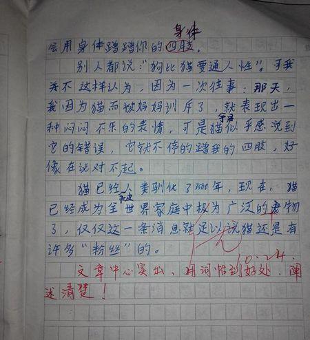 作品此刻：美丽的时刻_500字