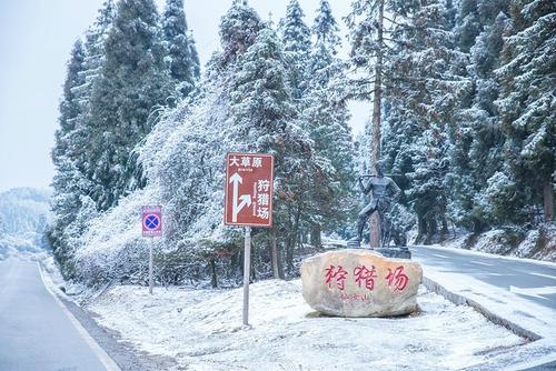 冬天悲伤_350字