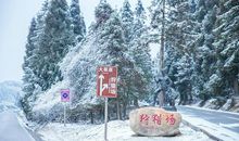 冬天的悲伤_350字