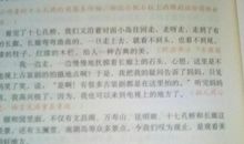 关于景色的作文：山上的风景_2000字