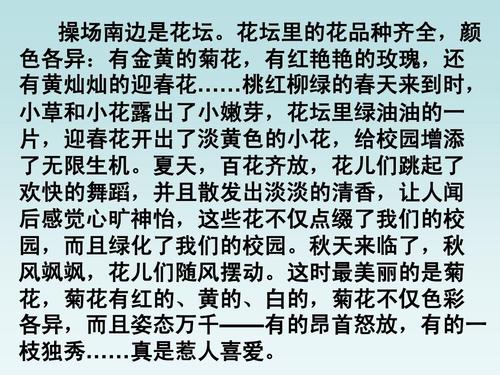 风景上的构图：我眼中的风景_800字