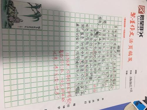 关于等待：不是遗憾，但等待下一个绽放_1500字