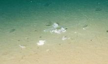 人类的重任_600字