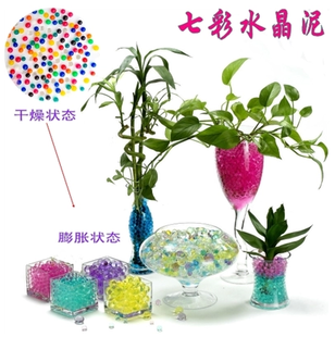 花朵花_1000字