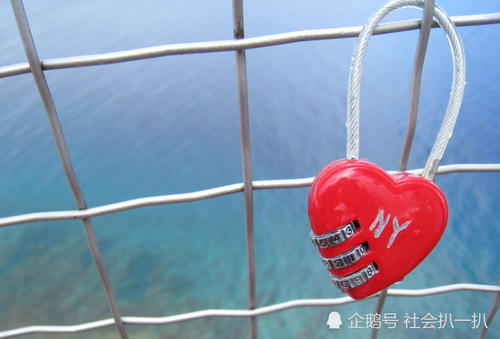 不要给你的庭院_250字