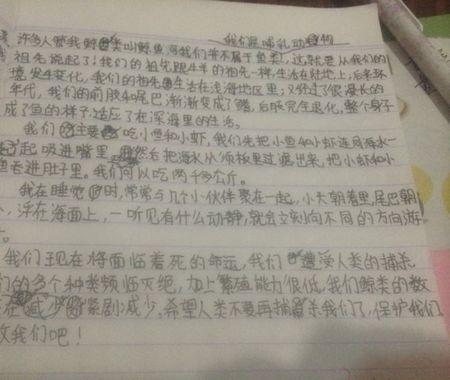鲸鱼的自我评论_200字