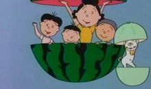 我们的太阳_50字