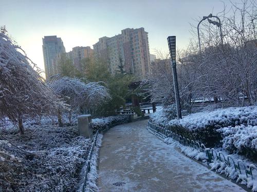 第一个雪（1）_150字