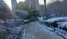 第一场雪(1)_150字