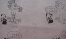 一年级看图写话：保护小鸟_400字