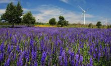 奔向大自然_1500字