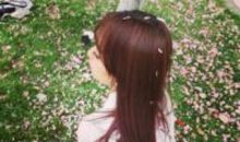 落花残败处，思念已成灰_750字