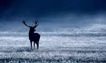 如果秋天再相遇_150字