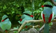 珍惜时间名言：光景不待人，须叟发成丝_600字