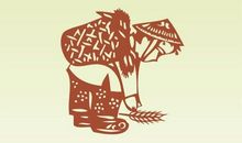 珍惜粮食，从我做起_550字