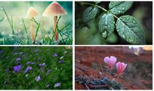 我爱勃勃生机的春天_400字