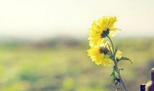 关于等待的作文：在充满等待的日子里_650字