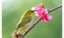 看客的目光_1200字