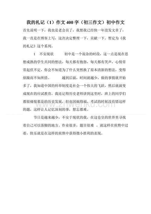 新年前夜，写，写，写：新的“新包的皇帝”_900字