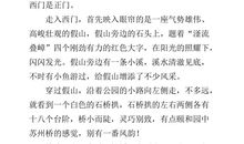 不一样的点滴液（作文修改）_1500字